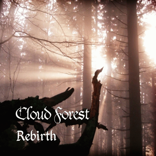 Cloud Forest : Rebirth